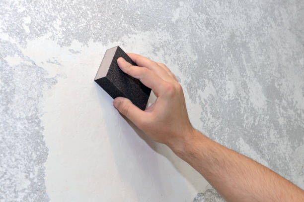 Best Basement Mold Removal  in Dequincy, LA