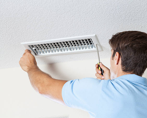 Best Forensic Mold Investigation  in Dequincy, LA