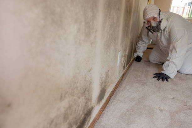 Mold Remediation for Rental Properties in Dequincy, LA